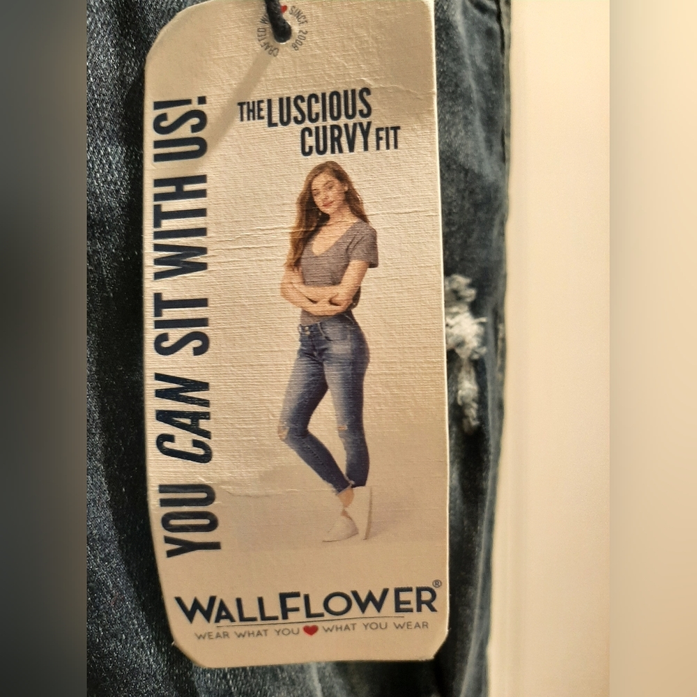 Wallflower Distressed NWT